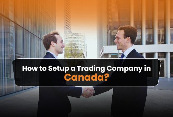 how to set up a trading company