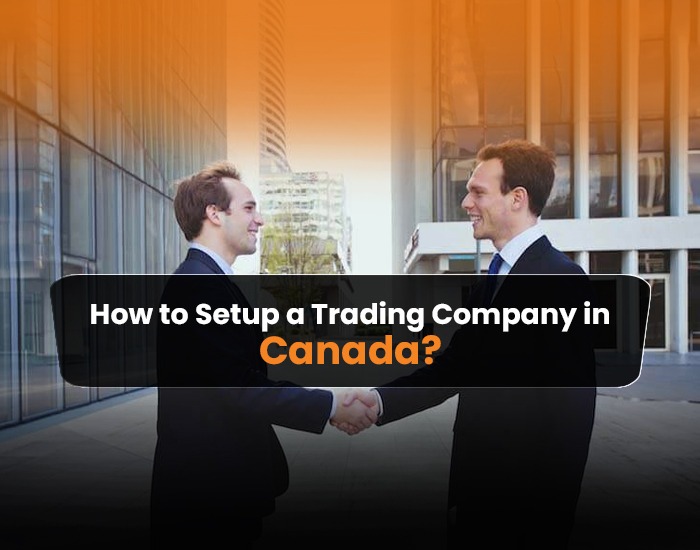 how to set up a trading company